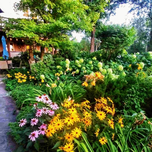 Meet your Posher, Julie - Picture 8 of 9